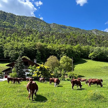 Appartement Lapreski, Spacieux, Proche Lac D'Annecy, Randonnees Montagne Thônes Eksteriør bilde