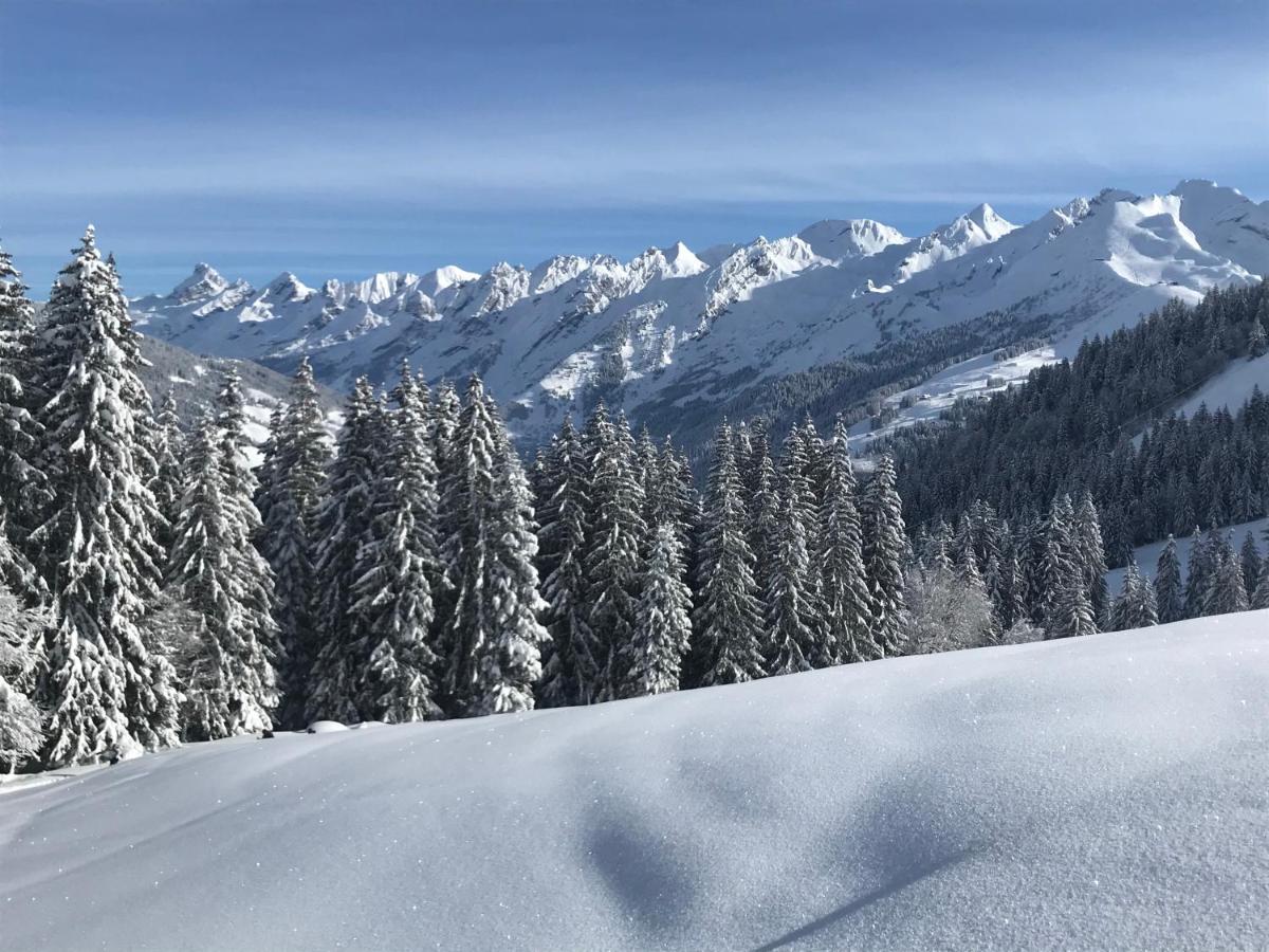 Appartement Lapreski, Spacieux, Proche Lac D'Annecy, Randonnees Montagne Thônes Eksteriør bilde