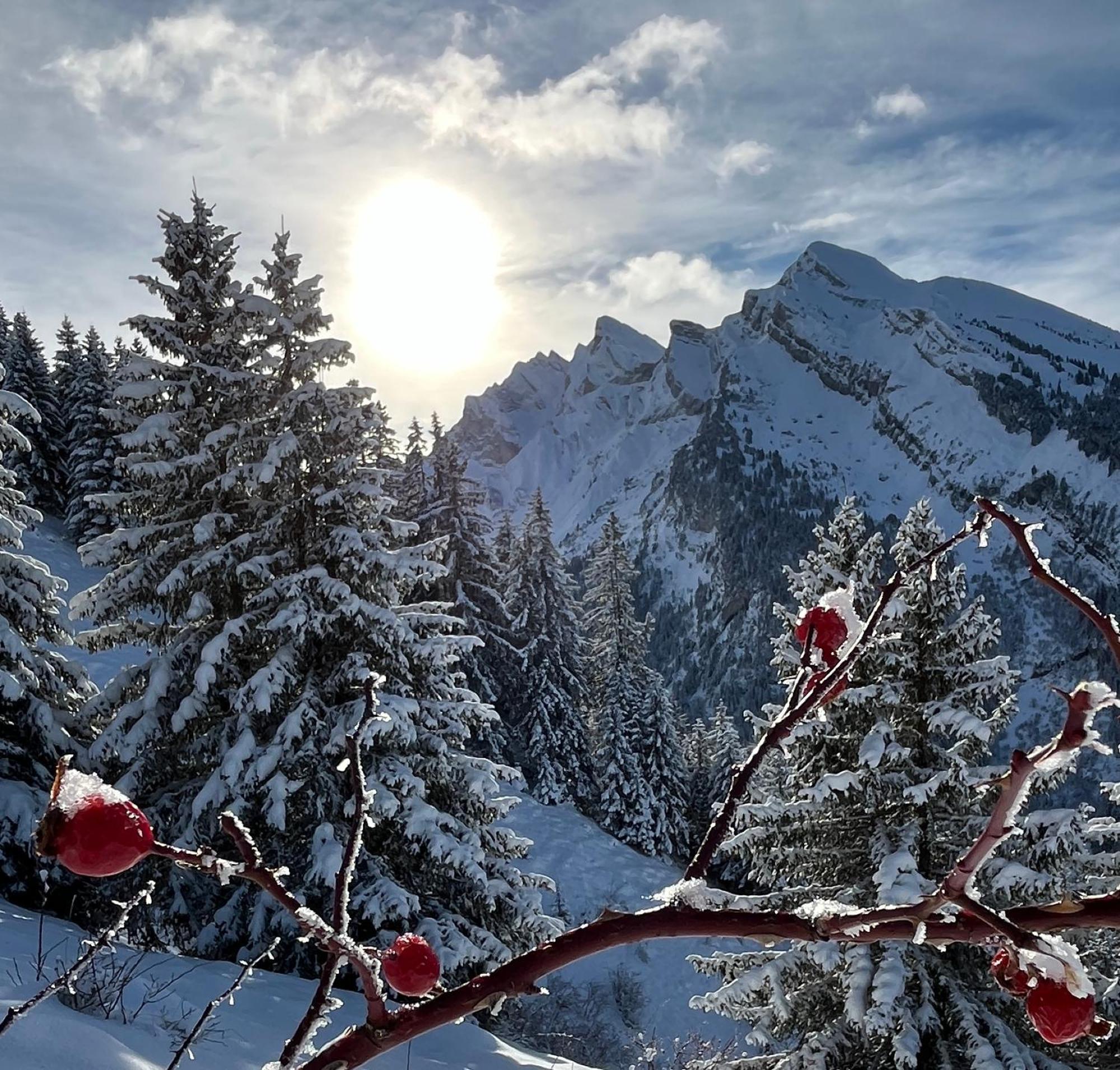 Appartement Lapreski, Spacieux, Proche Lac D'Annecy, Randonnees Montagne Thônes Eksteriør bilde