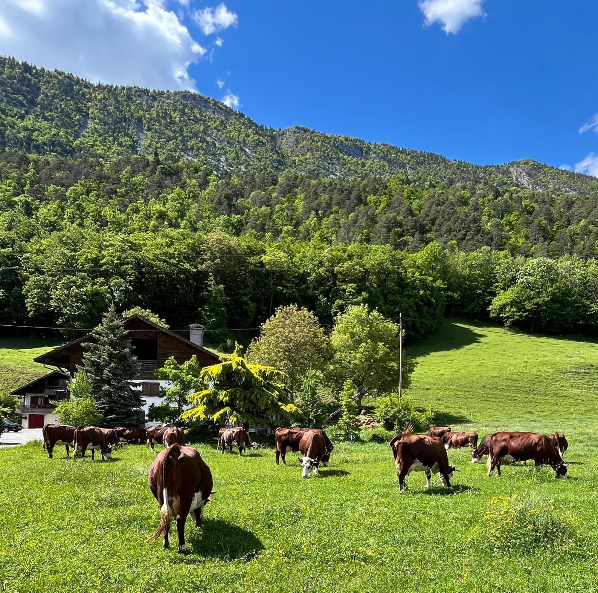 Appartement Lapreski, Spacieux, Proche Lac D'Annecy, Randonnees Montagne Thônes Eksteriør bilde